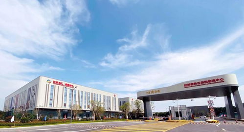 外貿淺表開采將結束，繁花中的上海老外貿轉型開拓企業信用調查新生意