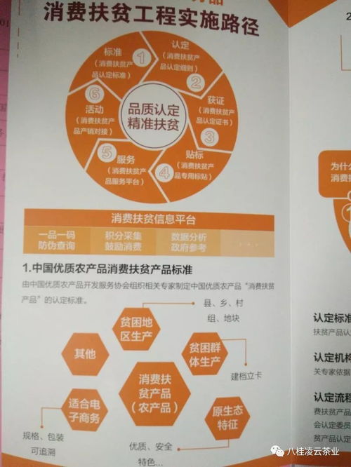 桂茶綻芳華 八桂凌云紅茶綠茶獲中國優質農產品消費扶貧產品認定，技術推廣助力鄉村振興